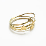 Milky Way RIng