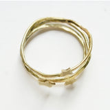 Milky Way RIng